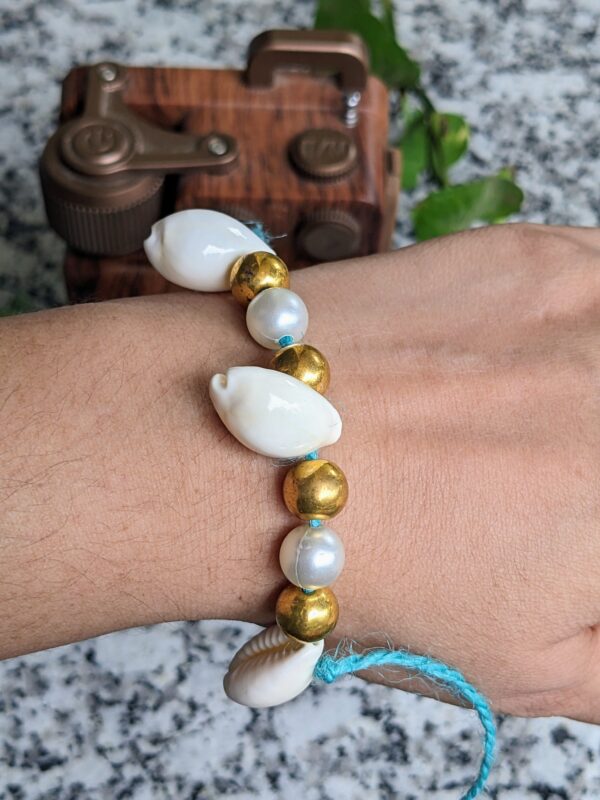 Cowrie shells lumba #2